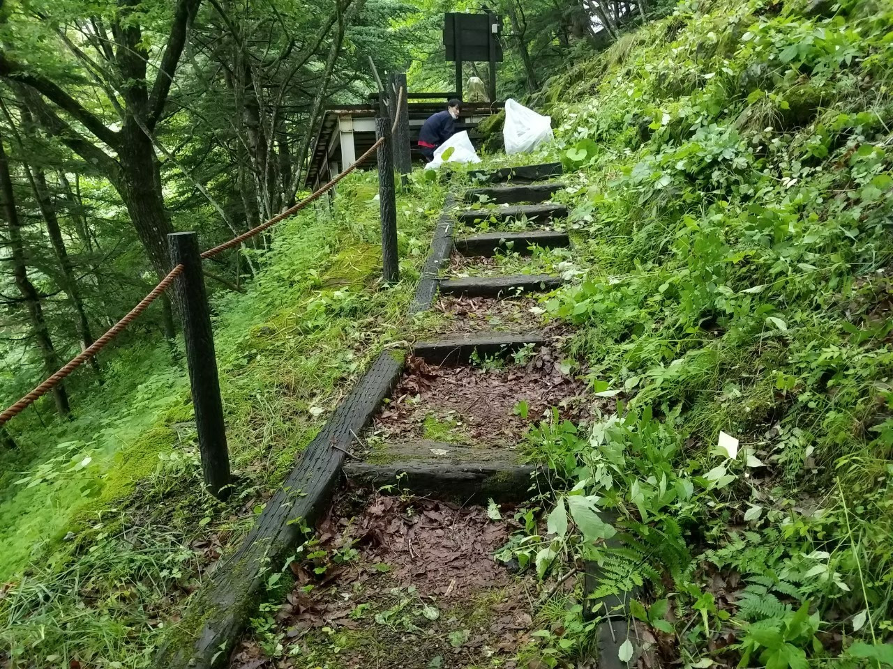 リフォーム　高崎　除草作業